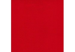 Coussin 190 x 80 x 12 déperlant ROUGE