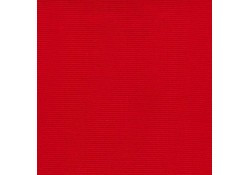 Coussins Déco 60 x 60 ROUGE