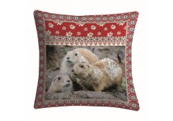 Coussin JURA