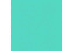 Coloris coussin 50 x 50 x 5 imperméable
