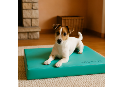 Coussin pour chien Memory...