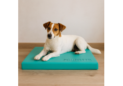 Coussin pour chien Premium...