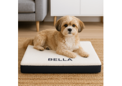Coussin pour chien Memory tissu bouclette écru S
