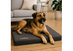Coussin pour chien Memory tissu bouclette gris XL