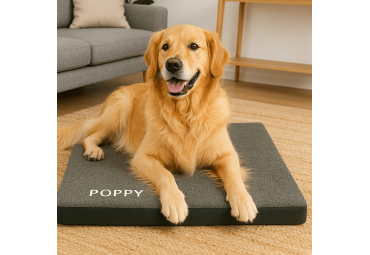 Coussin pour chien Memory tissu bouclette vert M