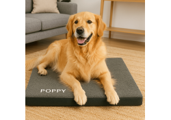 Coussin pour chien Memory tissu bouclette vert M